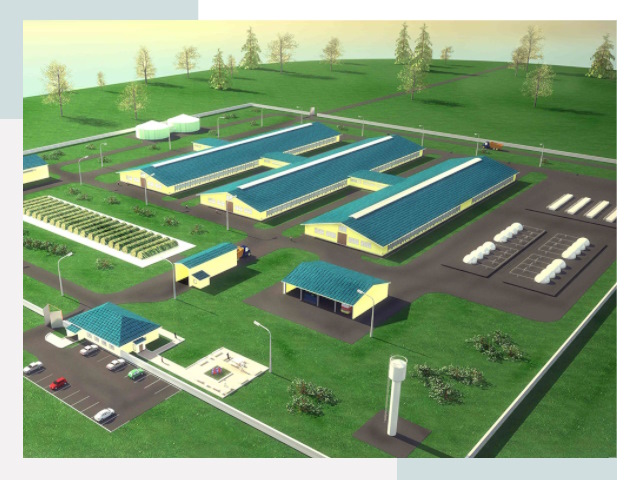 Проектирование современных коровников под ключ в Саянске